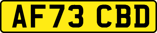 AF73CBD