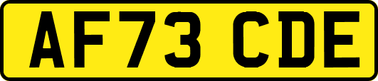 AF73CDE