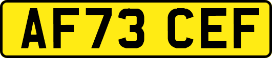 AF73CEF