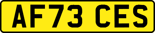 AF73CES