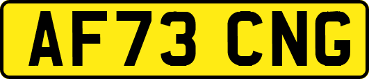 AF73CNG