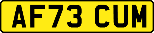 AF73CUM