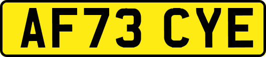 AF73CYE
