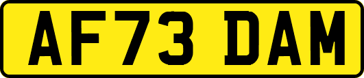 AF73DAM