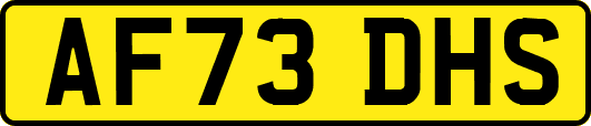 AF73DHS