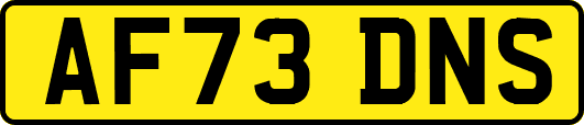 AF73DNS