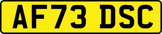 AF73DSC