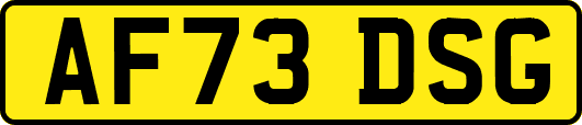 AF73DSG