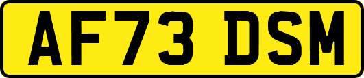 AF73DSM