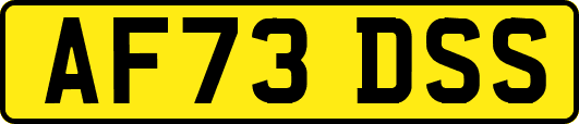 AF73DSS