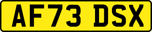 AF73DSX