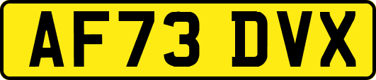 AF73DVX