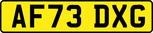AF73DXG