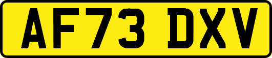 AF73DXV