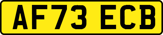 AF73ECB
