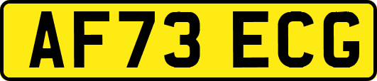 AF73ECG