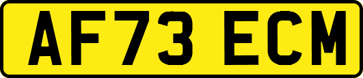 AF73ECM