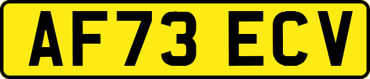 AF73ECV
