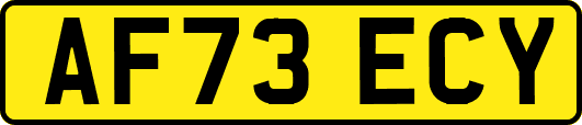 AF73ECY