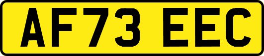 AF73EEC