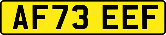 AF73EEF