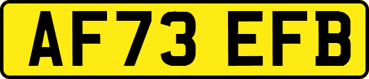 AF73EFB