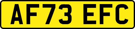 AF73EFC
