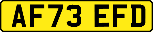 AF73EFD