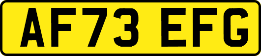 AF73EFG
