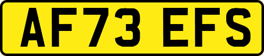 AF73EFS
