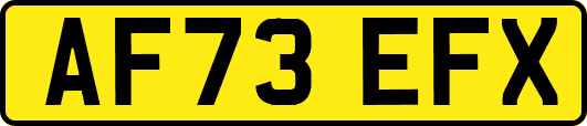 AF73EFX