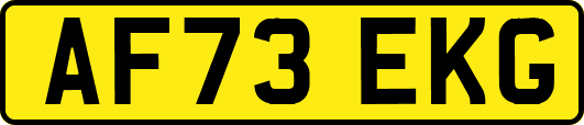 AF73EKG
