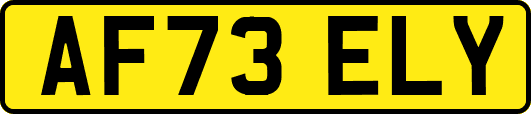 AF73ELY