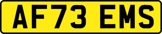 AF73EMS