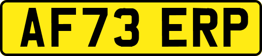 AF73ERP