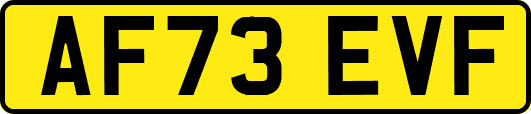 AF73EVF