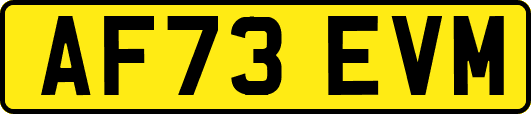 AF73EVM