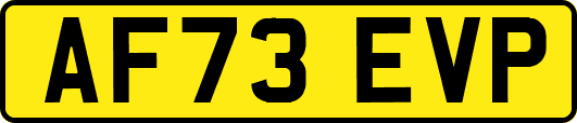 AF73EVP