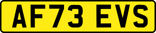 AF73EVS