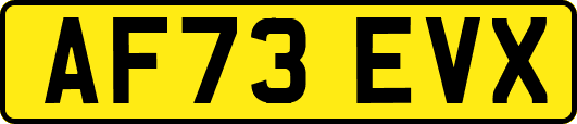 AF73EVX
