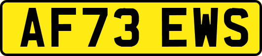 AF73EWS