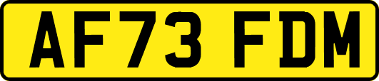 AF73FDM