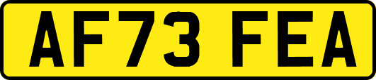 AF73FEA