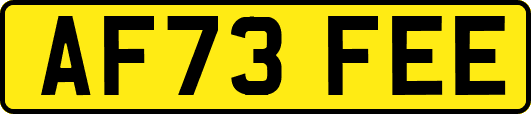 AF73FEE
