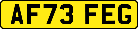 AF73FEG