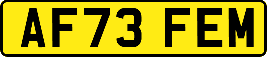 AF73FEM