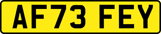 AF73FEY