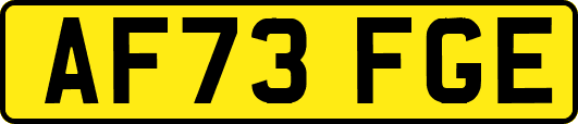 AF73FGE