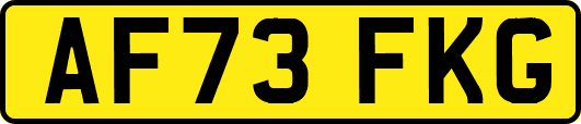 AF73FKG