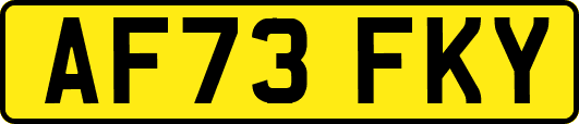 AF73FKY